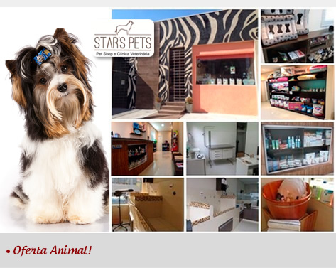 Star's Pets: Banho + Hidratao dos Pelos com Vinhoterapia + Tosa Higinica + Escovao de Dentes + Corte de Unhas + Limpeza de Ouvidos para Cachorro de Pequeno Porte por R$24,90!!!